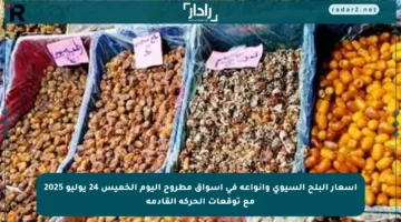 أسعار البلح السيوي وأنواعه في أسواق مطروح اليوم الخميس 24 يوليو 2025 مع توقعات الحركة القادمة
